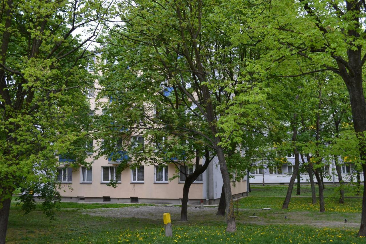Apartament Chełm Kültér fotó